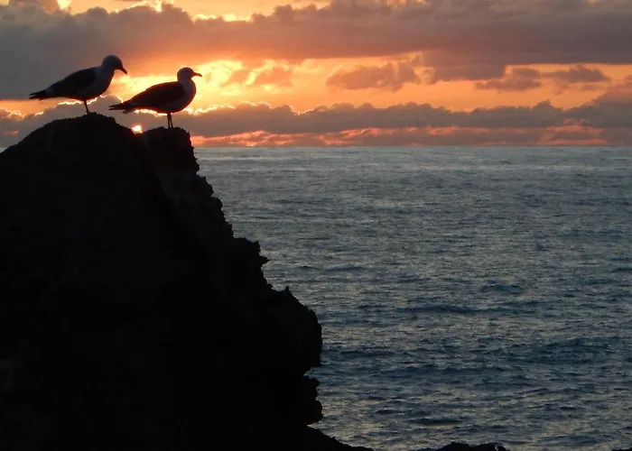 Ondina Casais de Sao Lourenco